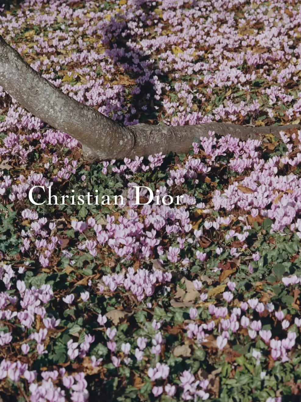 春天长裙子__春天裙装