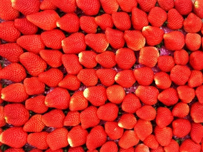 _海州休闲农庄怎么样_海州民俗