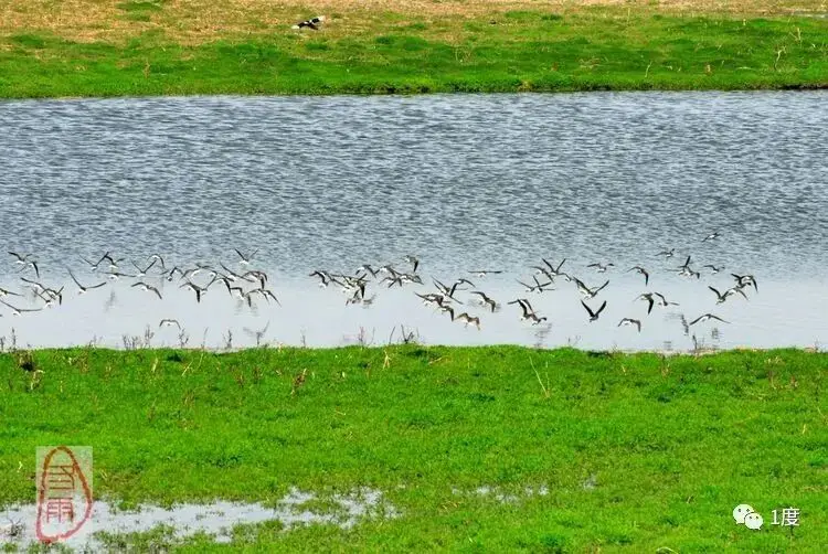 太平湖镇__太平湖度假