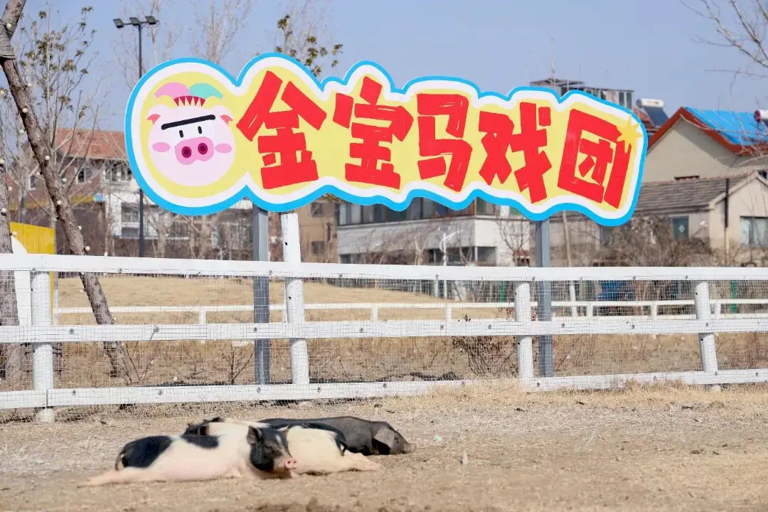 海州休闲农庄怎么样__海州民俗