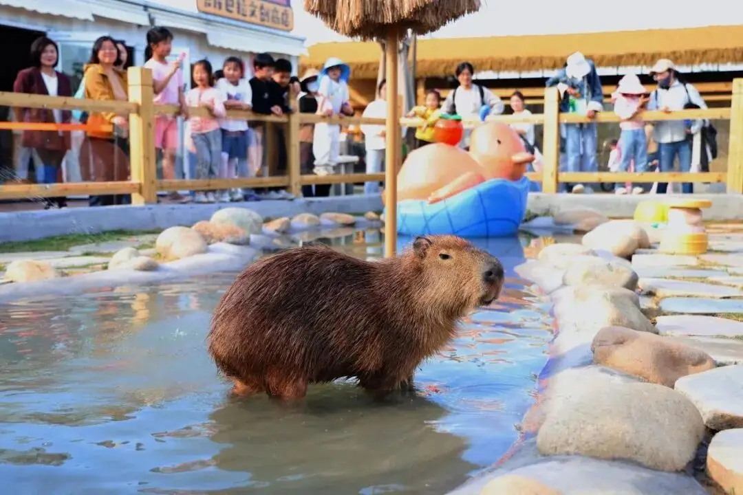 海州休闲农庄怎么样_海州民俗_