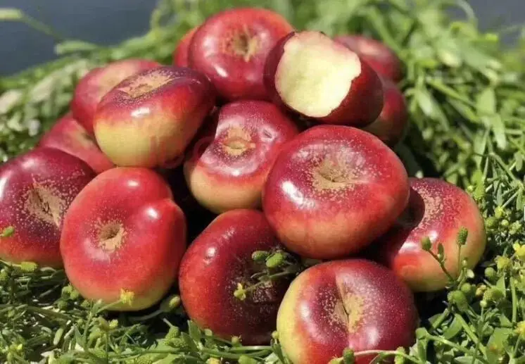 海州民俗__海州休闲农庄怎么样