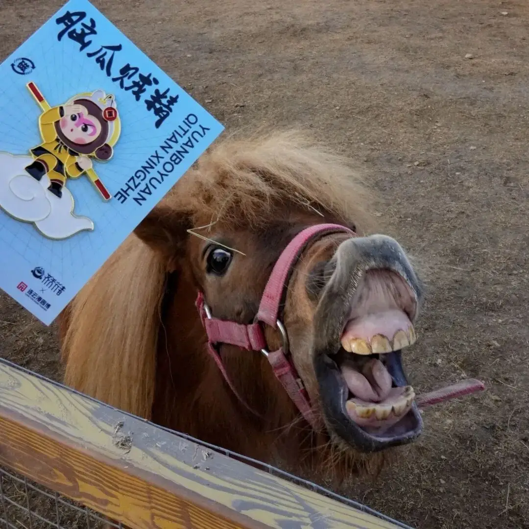 海州休闲农庄怎么样_海州民俗_