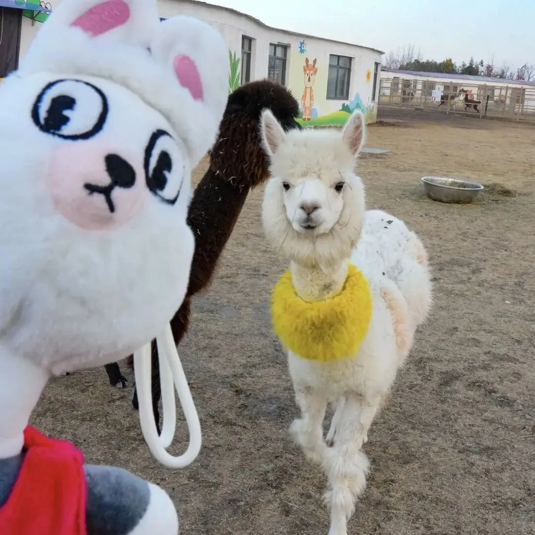 海州休闲农庄怎么样__海州民俗