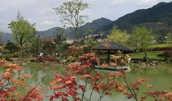 _老外搞很多义乌老板娘_深圳龙华很多搞金融的