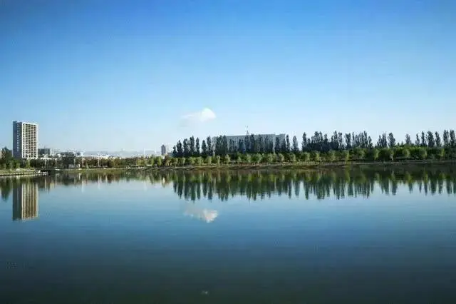 老外搞很多义乌老板娘__深圳龙华很多搞金融的