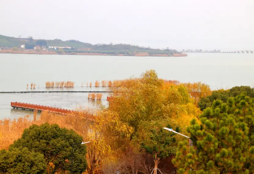 景公出游_梦100新春出游爱因斯_