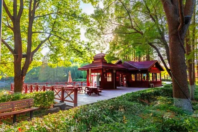 春节期间公交车不收费_春节期间乘坐公交免费_