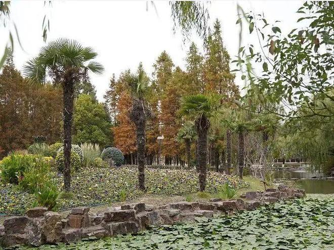 春节期间乘坐公交免费_春节期间公交车不收费_