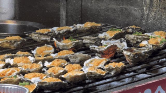 春节期间乘坐公交免费__春节期间公交车不收费