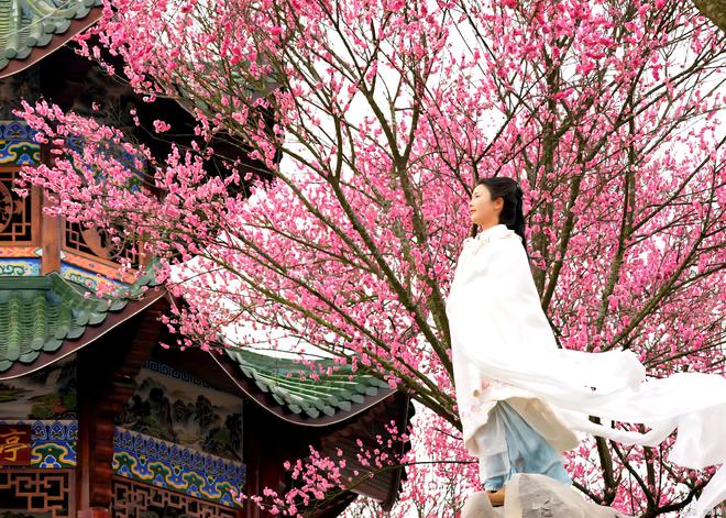 _玉佛寺改造期间开放吗_长春东北虎园过年期间开放吗