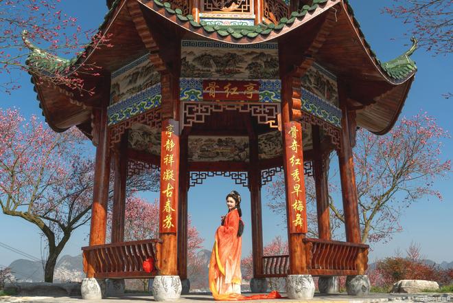 长春东北虎园过年期间开放吗__玉佛寺改造期间开放吗