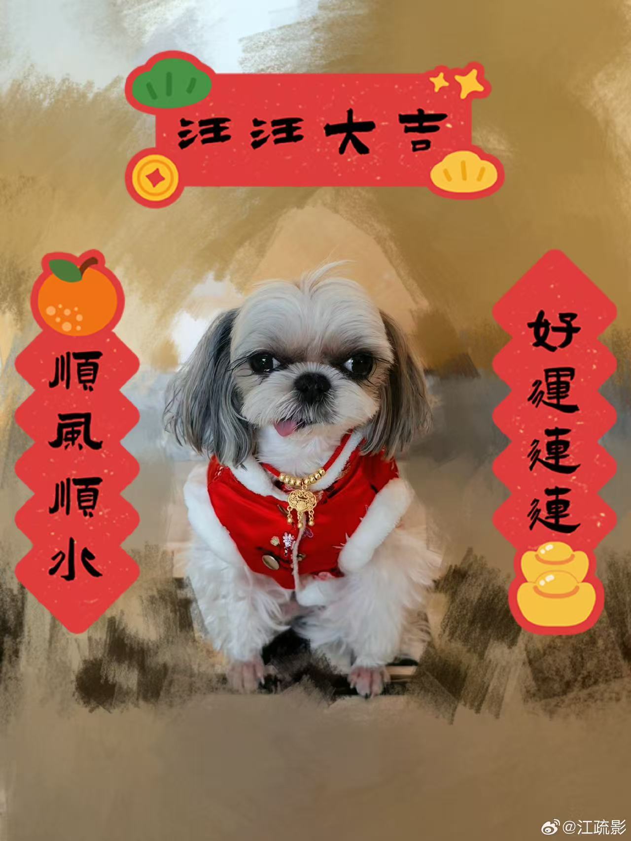 _茅台做饭_魔耳戴戴瘦魔力纤维体套装