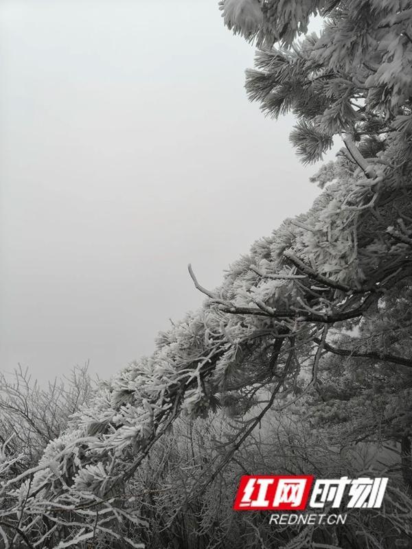 广州长隆春节接待人次_万家团圆时我感受到_