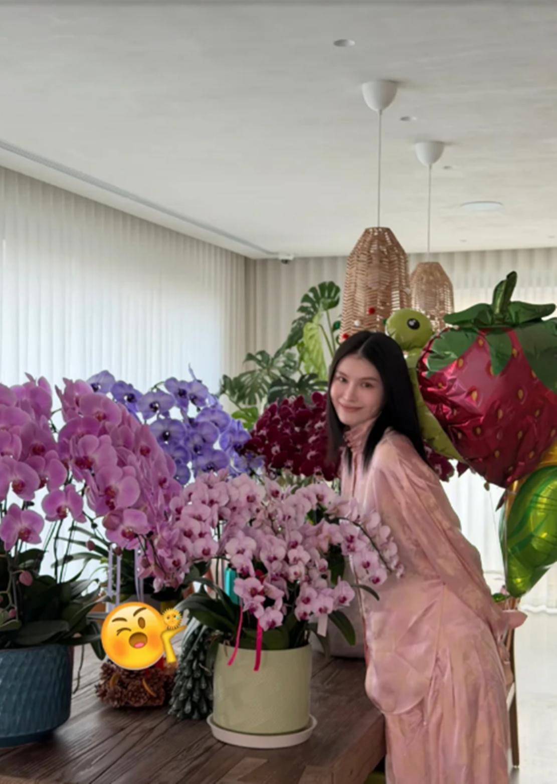 陈伟霆一家北京过春节，何穗晒照别墅摆满各色蝴蝶兰，年味十足_陈伟霆一家北京过春节，何穗晒照别墅摆满各色蝴蝶兰，年味十足_