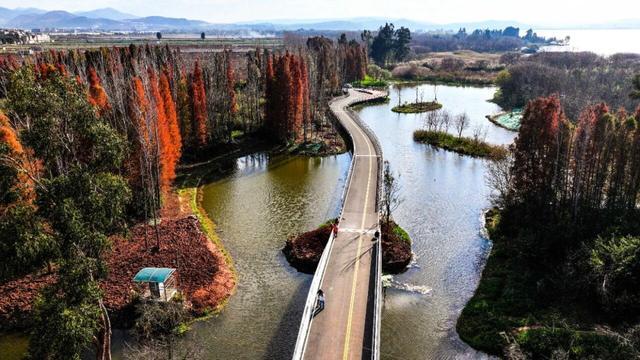 _昆明的海鸥还在吗_昆明的海鸥懵了
