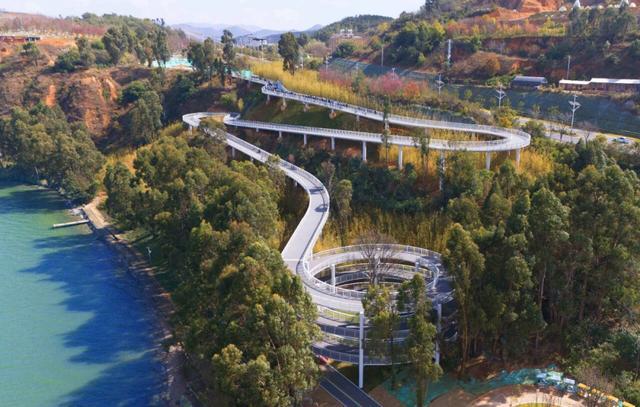 昆明的海鸥懵了__昆明的海鸥还在吗