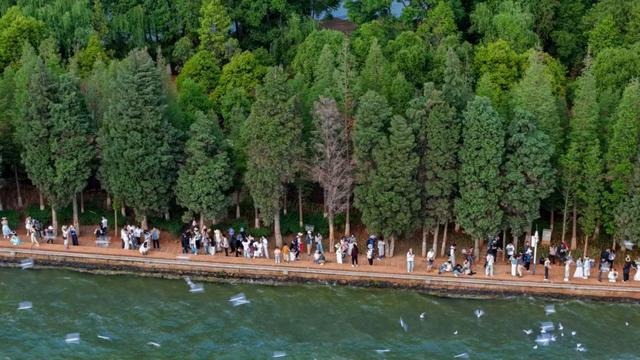 昆明的海鸥还在吗__昆明的海鸥懵了