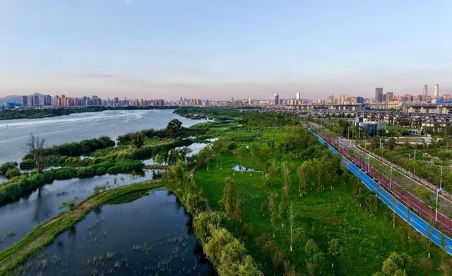 _昆明的海鸥还在吗_昆明的海鸥懵了