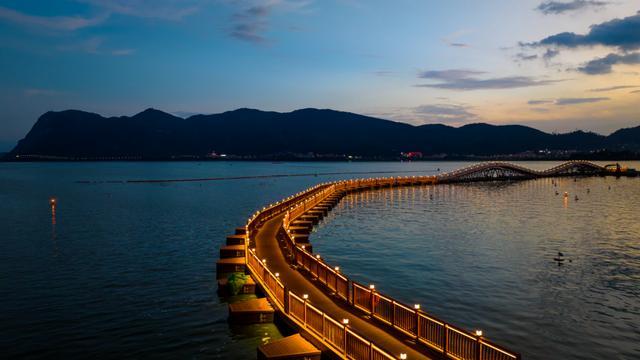 昆明的海鸥懵了__昆明的海鸥还在吗