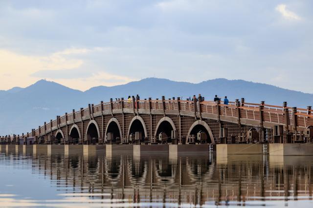 昆明的海鸥还在吗__昆明的海鸥懵了