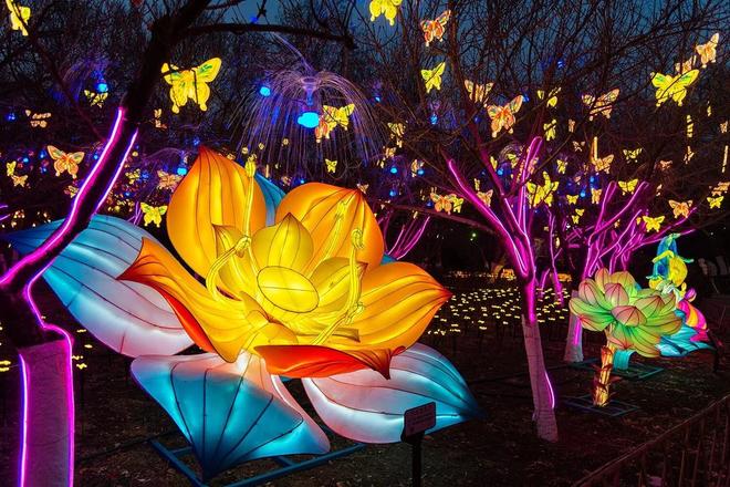 _10米“机械马”、“二安”齐亮相……济南这场花灯会惊喜满满_10米“机械马”、“二安”齐亮相……济南这场花灯会惊喜满满