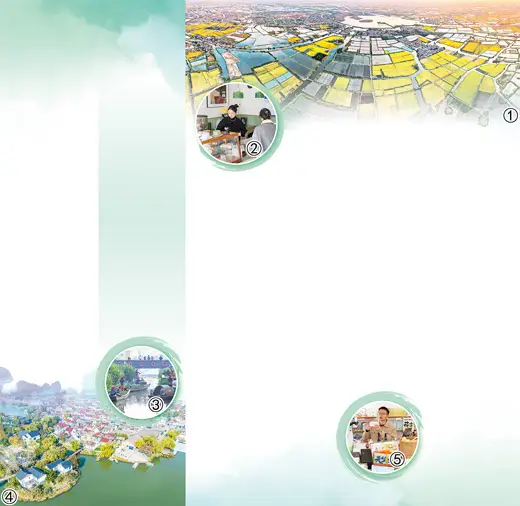 六百年水乡正青春（视线·最佳旅游乡村）