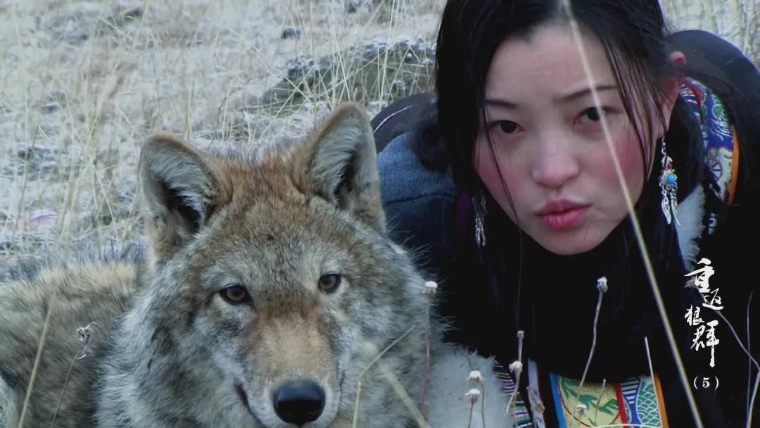 吴京谈高票房__吴京高票房电影有哪些