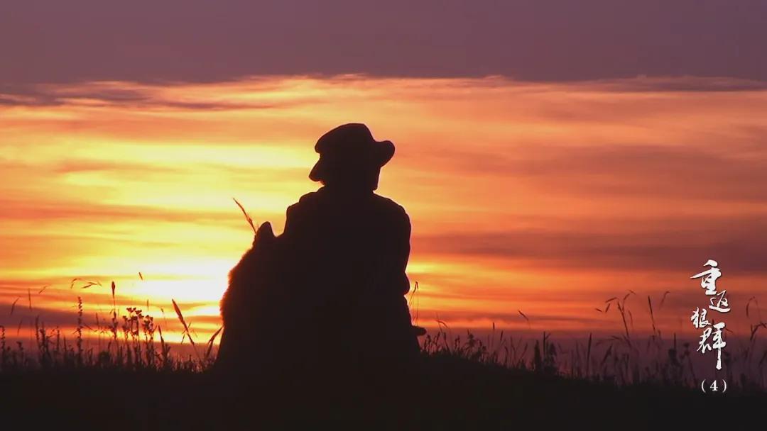 吴京高票房电影有哪些__吴京谈高票房