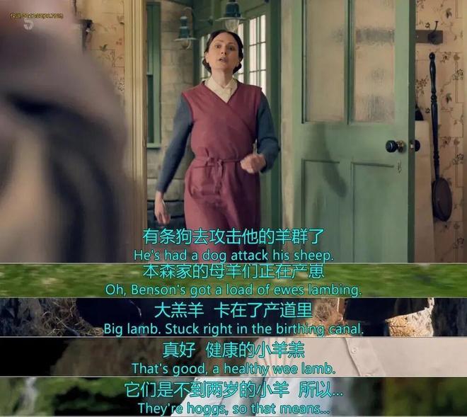 豆瓣脏号是什么意思__豆瓣脏脏鹅组