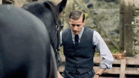 豆瓣脏号是什么意思__豆瓣脏脏鹅组