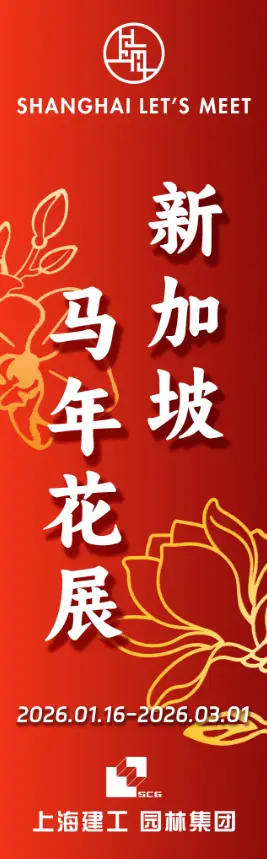 _2021春节去上海_新年去上海