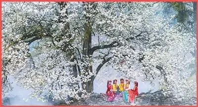 雪山下的“非遗”藏寨（文化中国行·视线·最佳旅游乡村）