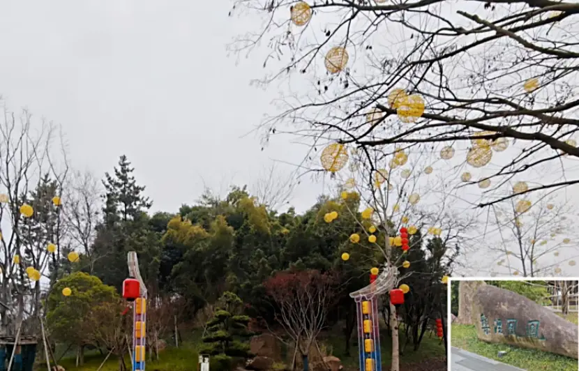 泰州老街游玩攻略_泰州老街游客服务中心电话_