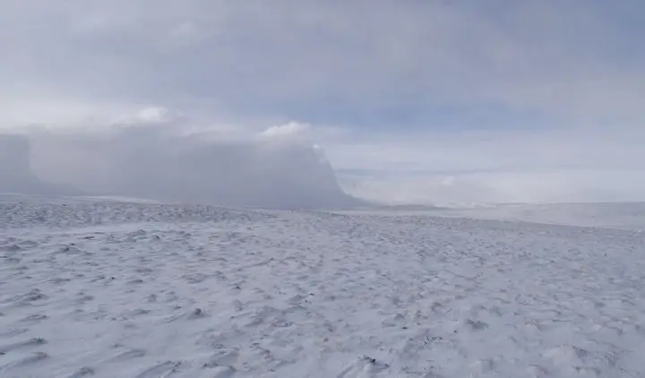 _愿你把心留_愿你把心留mv