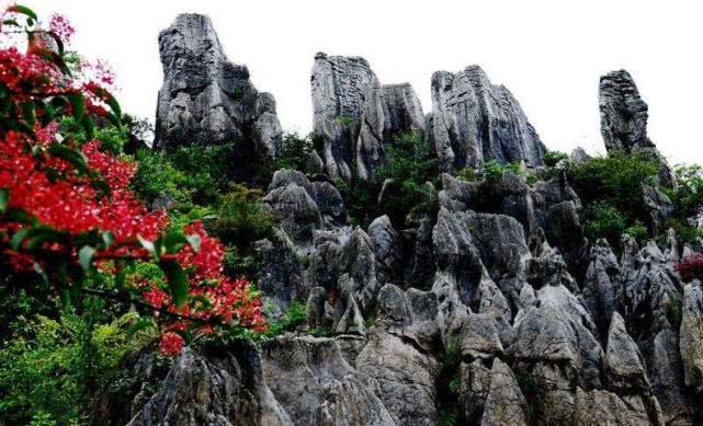 又一景区被拉入“黑名单”，一次游玩各种收费，网友：都是自找的