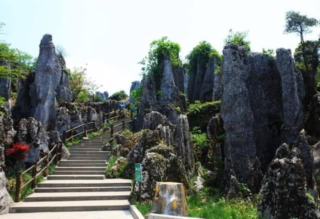 _旅游景区收费_旅游景区收费标准