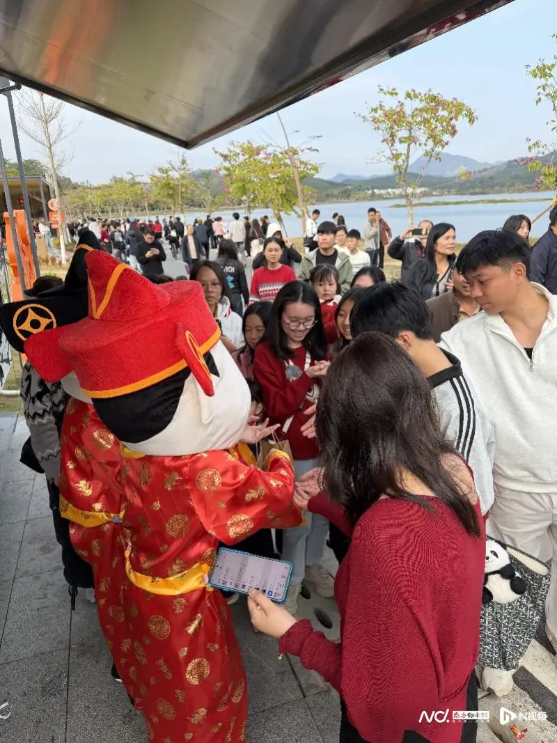 火爆出圈！惠州218最美旅游公路打造春节文旅新地标