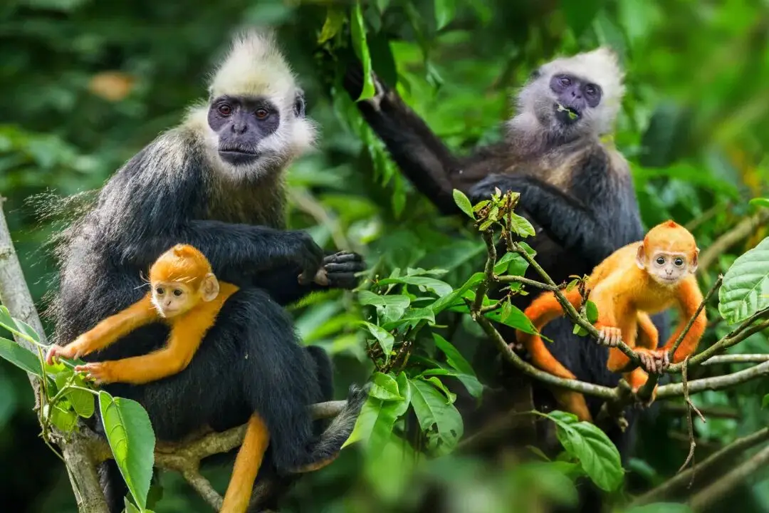 温馨提示还是温馨提醒_错峰出行在文中是指_