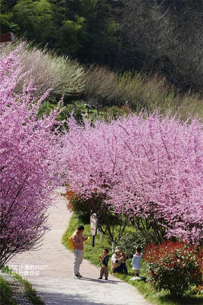 西安秦岭自驾一日游_西安秦岭自驾游线路推荐_