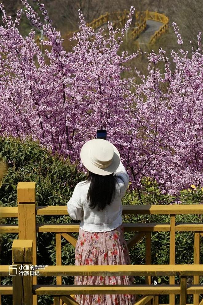 西安秦岭自驾一日游_西安秦岭自驾游线路推荐_