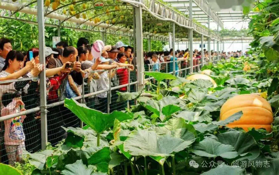 潍坊景点景区_潍坊景点儿_