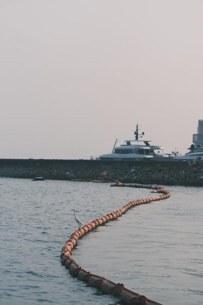 _奇迹互动科技(深圳)有限公司_奇迹(深圳)汽车文化有限公司