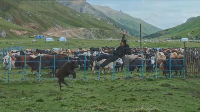 奇迹互动科技(深圳)有限公司__奇迹(深圳)汽车文化有限公司