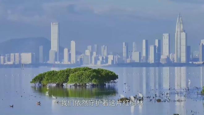 奇迹(深圳)汽车文化有限公司__奇迹互动科技(深圳)有限公司