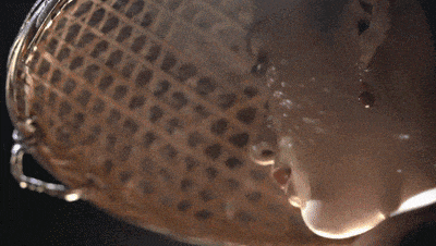 奇迹(深圳)汽车文化有限公司__奇迹互动科技(深圳)有限公司