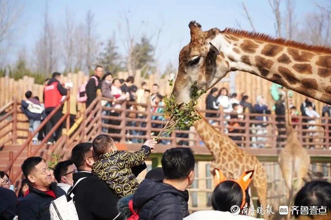 _济南野生动物攻略_济南野生动物附近有什么吃的