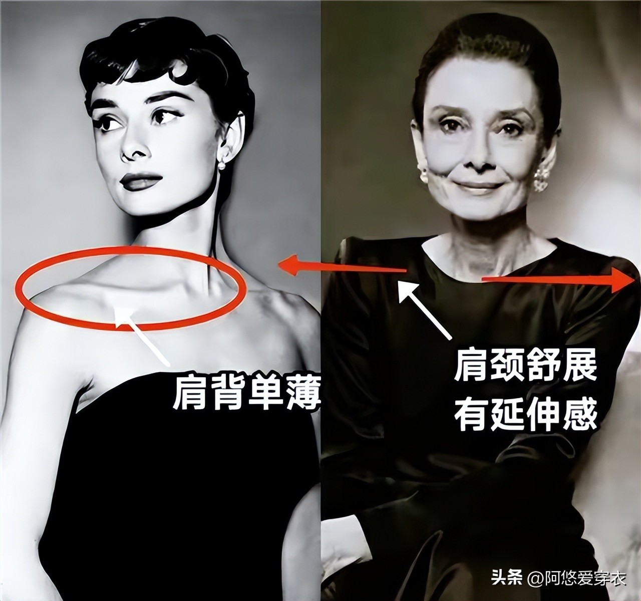 _赫本穿大衣图片欣赏_赫本穿过的大衣款式