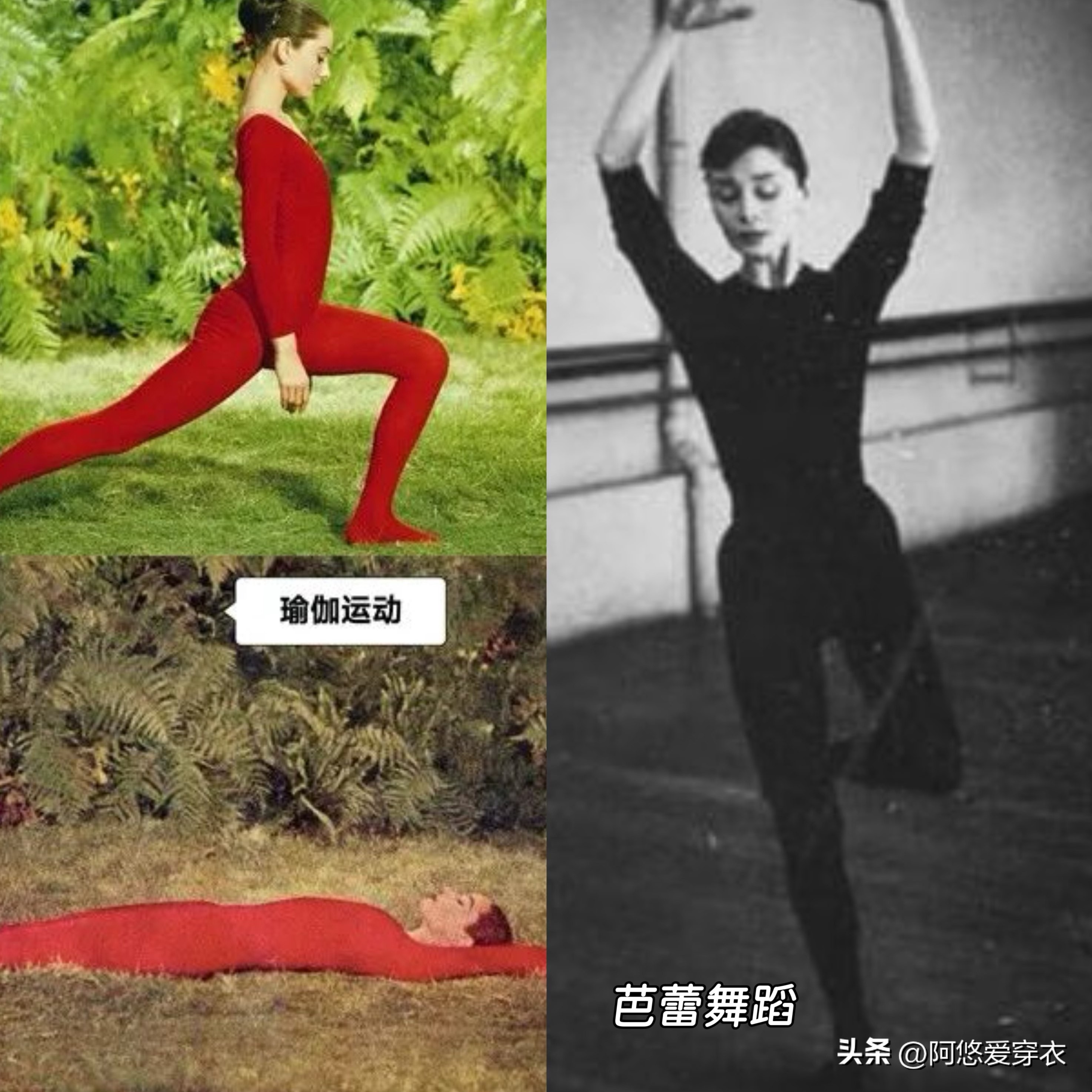 赫本穿大衣图片欣赏_赫本穿过的大衣款式_