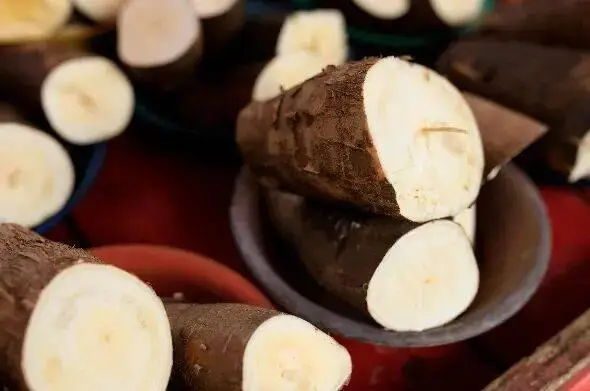 _怎样能一夜暴富_炒股能一夜暴富吗